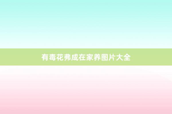 有毒花弗成在家养图片大全
